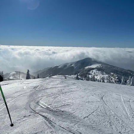 -beautiful View Apartment- Skiing Apartment Kopaonik