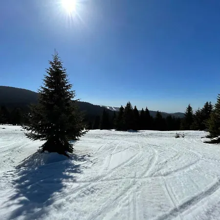 Apartment -beautiful View Apartment- Skiing Kopaonik